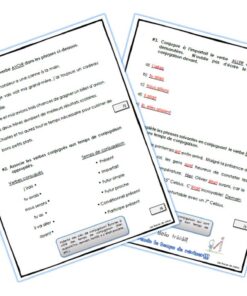 Alternative view of Évaluation Aller Avoir être 3e