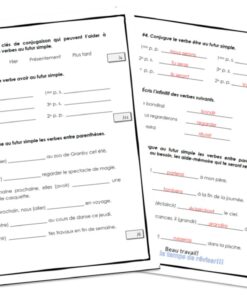 Alternative view of Évaluation futur simple de l'indicatif 3e