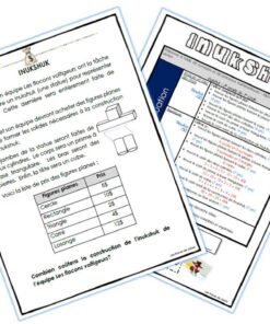 Alternative view of Inuk shuk 2e