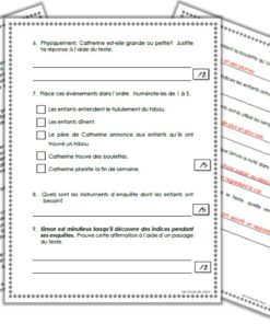 Alternative view of Mission: boulettes