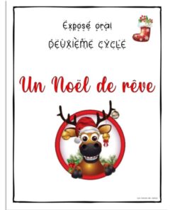 Un Noël de rêve