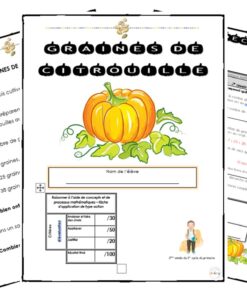 Alternative view of Graines de citrouille