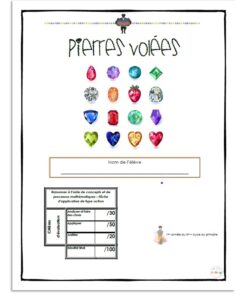 Pierres volées 5e année
